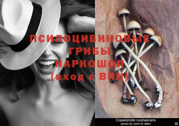 кристаллы Калининец