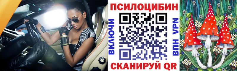 Купить Чкаловск Псилоцибиновые грибы мухоморы